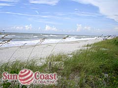 NAPLES NA05 GEO AREA Park Shore Beach