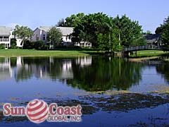 Tamarynd Place Community Lake with Bridge